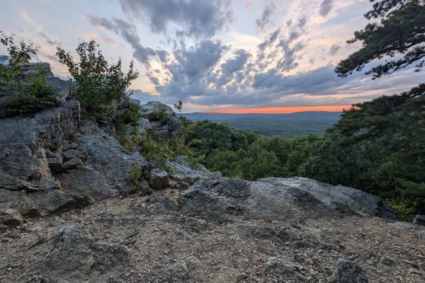 Michaux State Forest