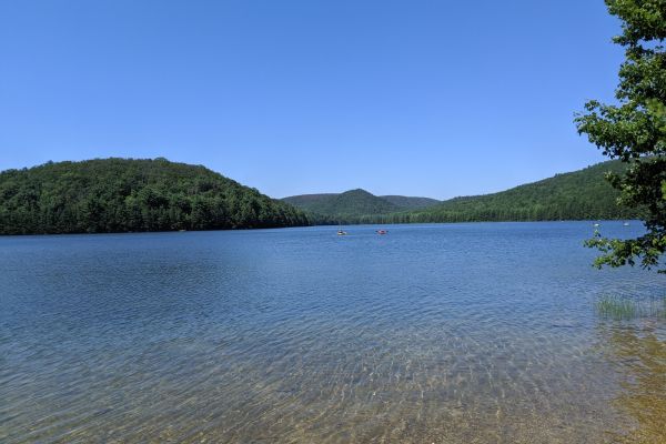 Michaux State Forest